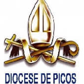 Diocese de Picos